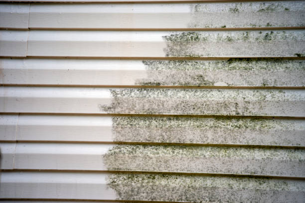 Affordable Siding Repair and Maintenance Services in Warner Robins, GA